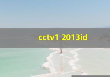 cctv1 2013id